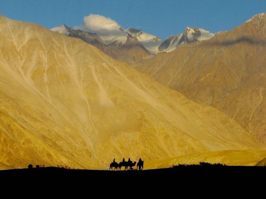 trek.nubra