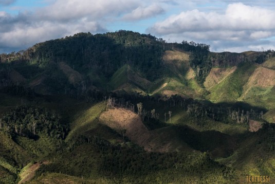 sakaleona.trek.madagascar.tanalana.zafimaniry.hauts.plateaux.17