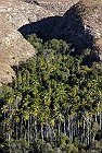 Madagascar, Makay... trek ultime dans le massif de la biodiversité ?