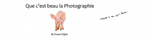 frozen.piglet