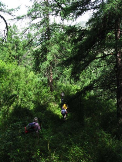 trek.altai.russie.belukha.beloukha.24