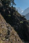 Trek Langtang - Gosainkund - jour 3 -