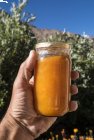 Ladakh, découverte d'un fruit mythique : l'Abricot