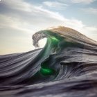 Le photographe Ray Collins, au sommet de la vague...