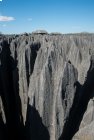 Trek Tsingy Bemaraha 2015 - partie II/III - Le Parc National