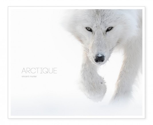 arctique.vincent.munier