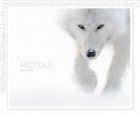 Un livre à offrir pour Noël ? Arctique de Vincent Munier