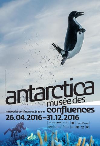 antartica.musa.e.confluence.affiche