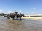 Bhadrapur...ou contre ? Népal méconnu.