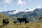 Trek Val d'Aoste - Tour des Géants - Grands Combins - Jour 13