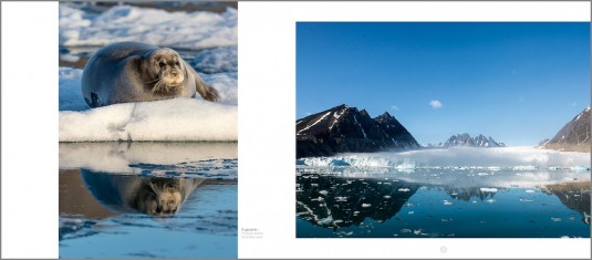 svalbard.philippe.bolle.1