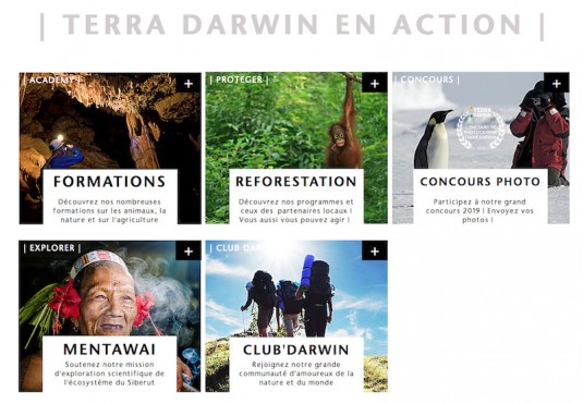 terra.darwin.actions.1