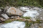 Haut Dolpo - Rejoindre Pho : construire un pont...