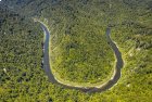 Te Araroa (Traversée de la Nouvelle-Zélande), île du Nord côté Whanganui