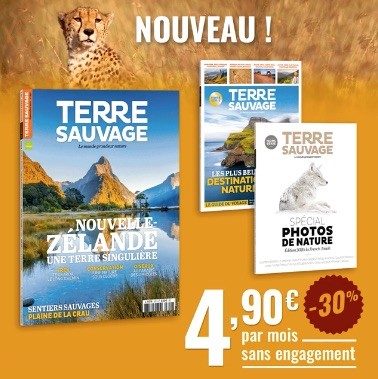 terre.sauvage.nouvelle.zelande.te.araroa.boiveau.abonnement