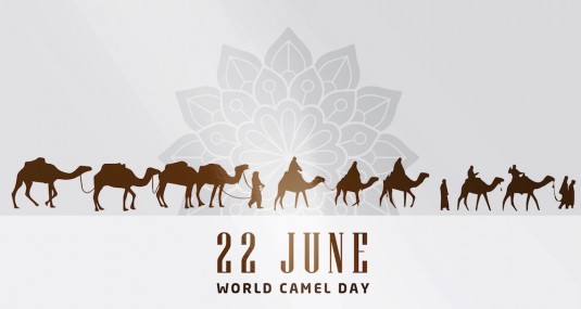 world.camel.day.2