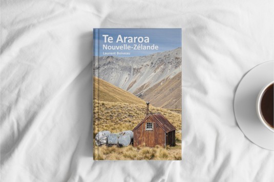 te.araroa.nouvelle.zelande.boiveau.1