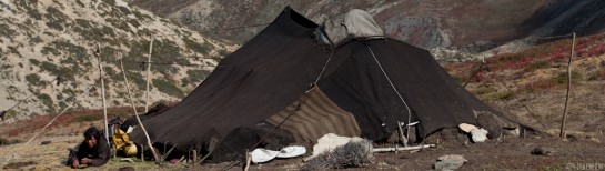 b34/nepal.rara.2012.2.jpg