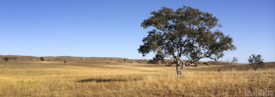 b65/makay.trek.madagascar.panoramique.iphone.9.jpg