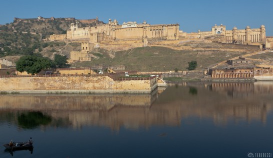 n108/elephant.jaipur.amber.rajasthan.7.jpg