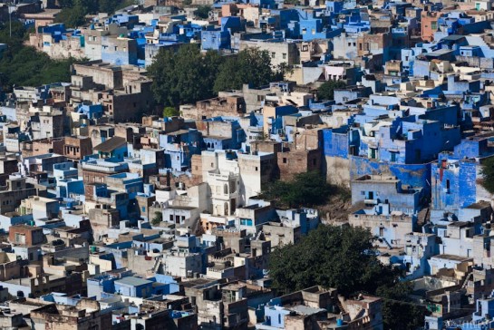 n114/rajasthan.jodhpur.panier.7.jpg