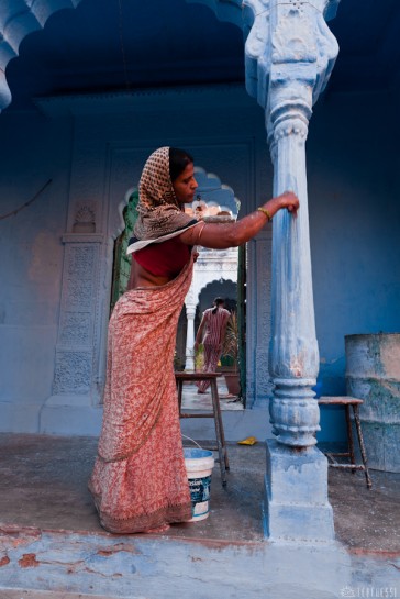 n114/rajasthan.jodhpur.panier.8.jpg