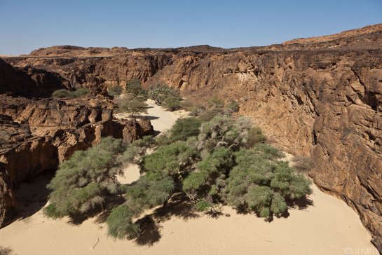 n142/tchad.ennedi.2.jpg