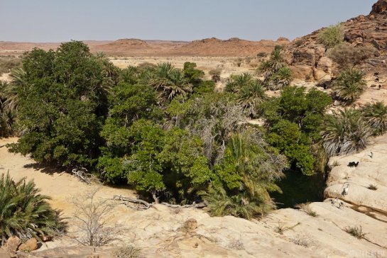 n145/tchad.koboue.769.guelta.5.jpg