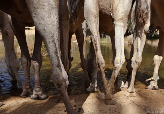 n145/tchad.koboue.769.guelta.6.jpg