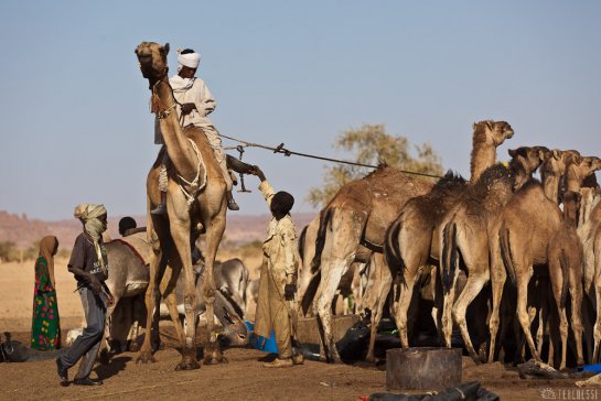 n147/tchad.ennedi.puits.5.jpg