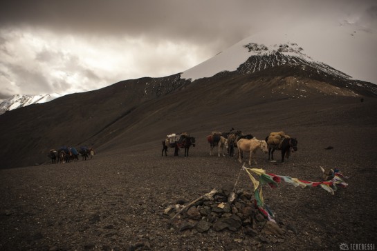 n228/ladakh.rupshu.ribil.la.2.jpg