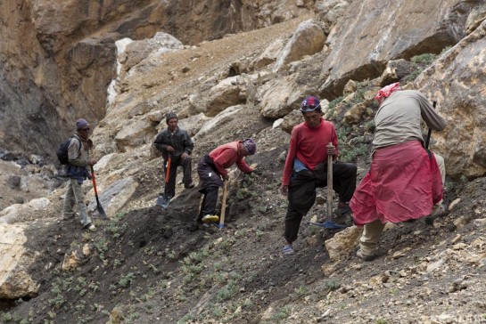 n230/sentier.rupshu.ladakh.1.jpg