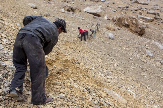 n230/sentier.rupshu.ladakh.4.jpg