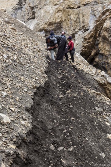 n230/sentier.rupshu.ladakh.5.jpg