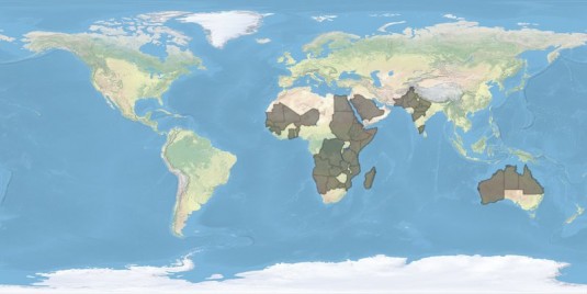 n258/repartition.mondiale.cenchrus.biflorus.jpg