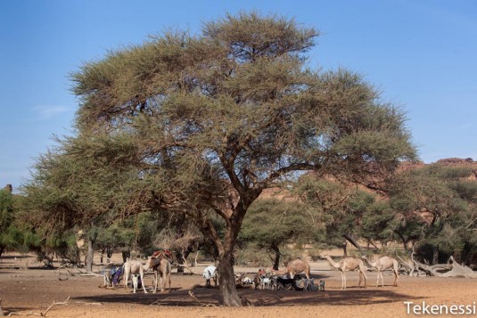 n259/tchad.ennedi.trek.2012.12.jpg