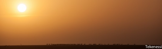 n259/tchad.ennedi.trek.2012.16.jpg