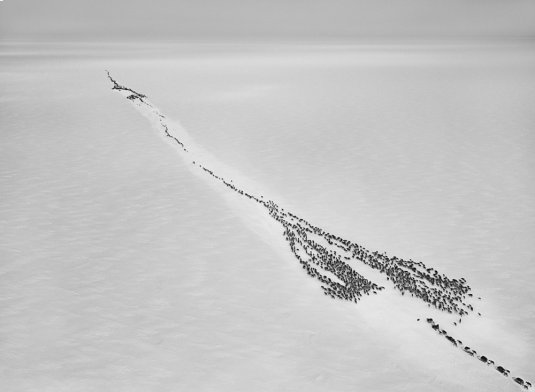 n340/sebastia.o.salgado.genesis.6.jpg