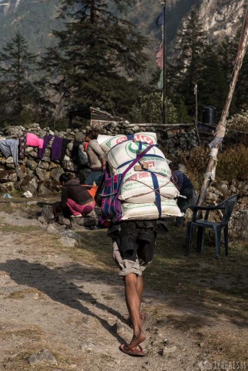 n362/trek.langtang.gosainkund.j3.5.jpg