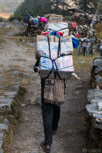 n362/trek.langtang.gosainkund.j3.6.jpg