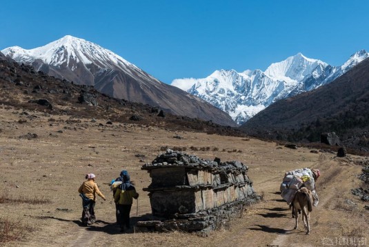 n363/trek.langtang.gosainkund.j4.4.jpg