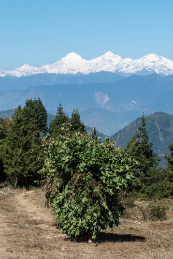 n373/trek.langtang.gosainkund.j13.7.jpg