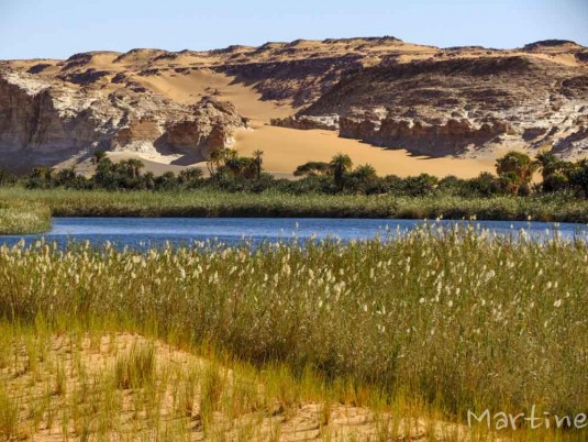 n385/martine.tchad.trek.toubou.ennedi.9.jpg