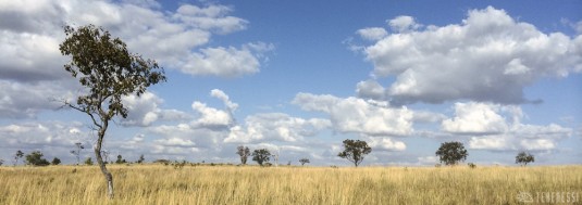 n406/makay.trek.madagascar.panoramique.iphone.33.jpg