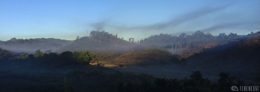 n411/madagascar.corridor.forestier.zafimaniry.boby.tanale.15.jpg