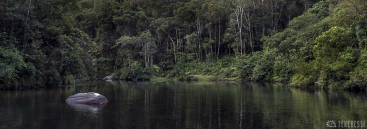 n411/madagascar.corridor.forestier.zafimaniry.boby.tanale.33.jpg