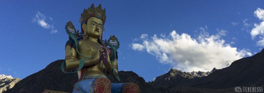 n422/ladakh.trek.nubra.pangong.shyok.4.jpg