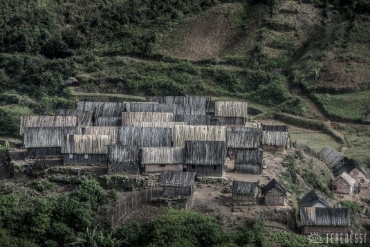 n449/corridor.forestier.trek.madagasar.19b.jpg