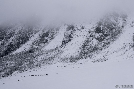 n450/col.ladakh.tempete.6.jpg