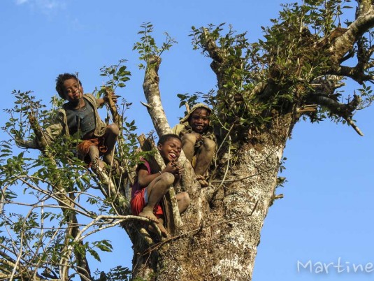 n451/corridor.forestier.trek.madagasar.11.jpg